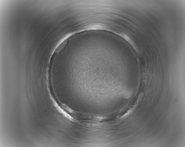 X0000066541134200603201419