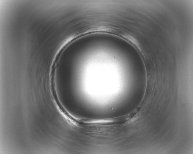 X0000066541135200603201419