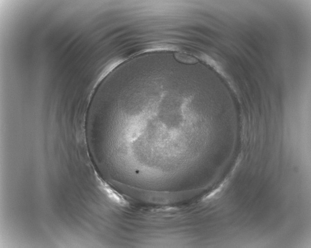 X0000066541137200603201419