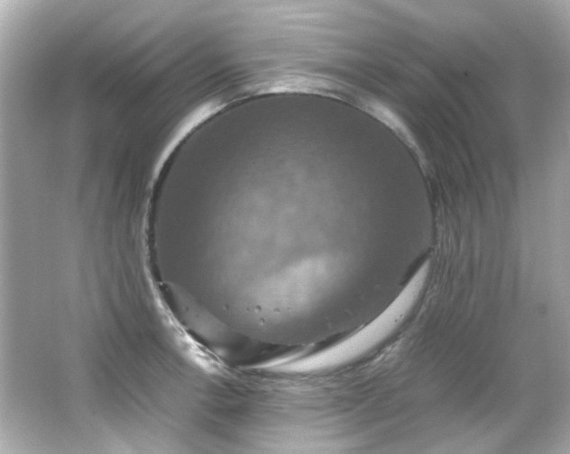 X0000066541138200603201419