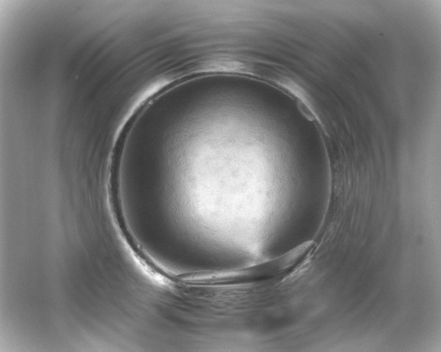 X0000066541139200603201419