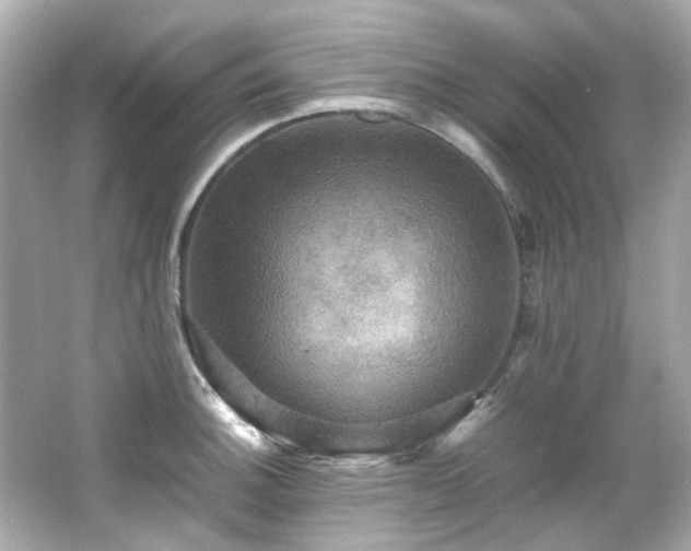 X0000066541140200603201419