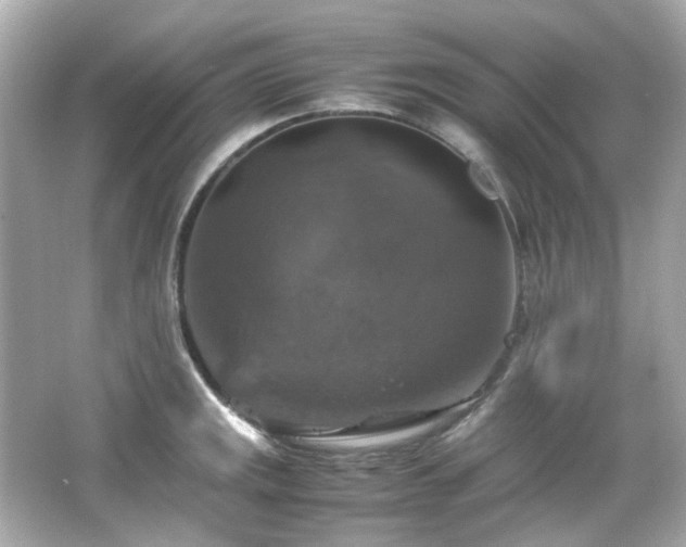 X0000066541141200603201419