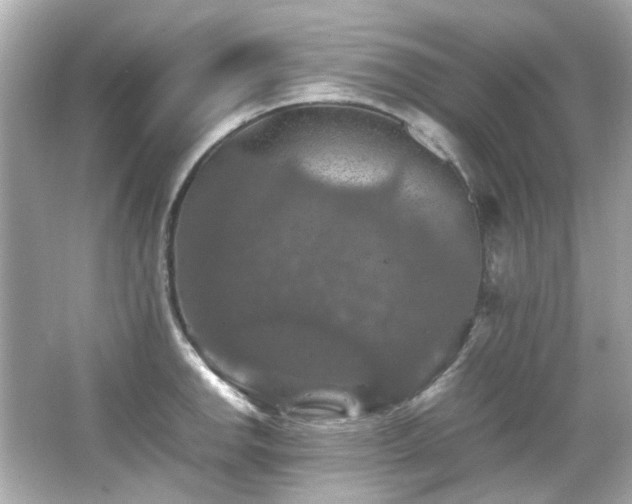 X0000066541142200603201419