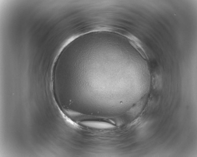 X0000066541143200603201419