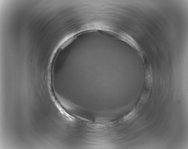 X0000066541144200603201419