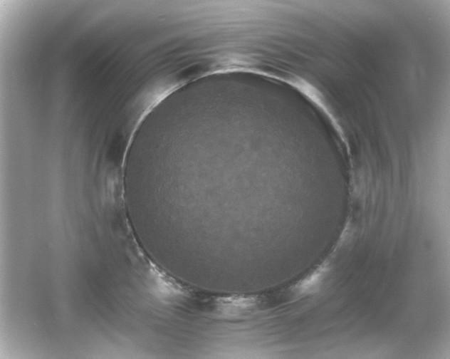 X0000066541145200603201419