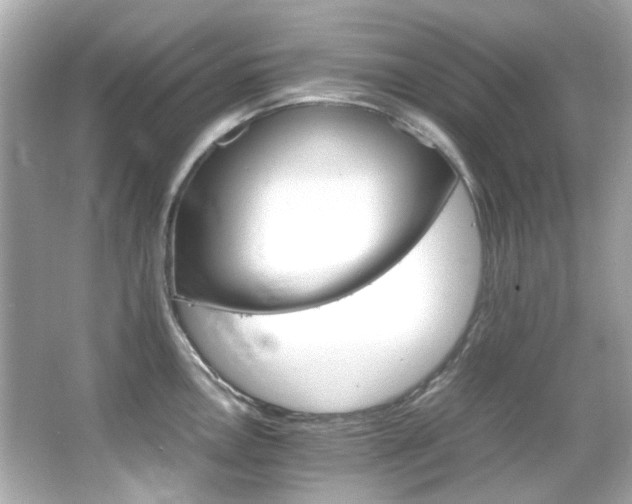 X0000066541146200603201419