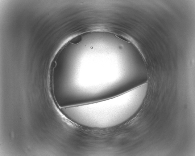 X0000066541147200603201419