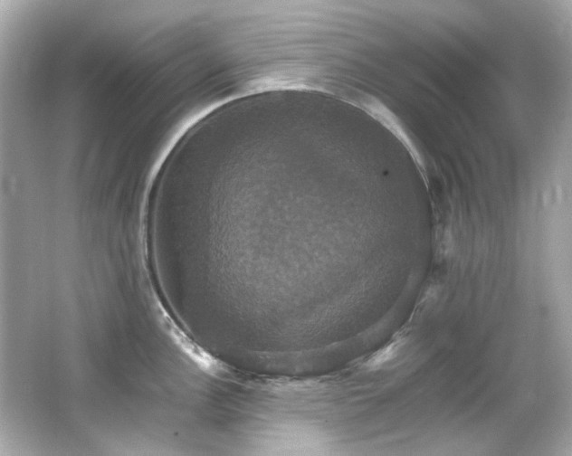 X0000066541148200603201419