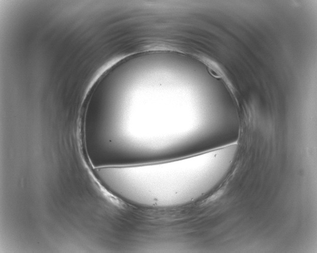 X0000066541149200603201419