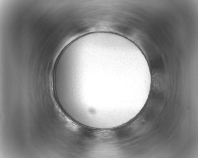 X0000066541150200603201419