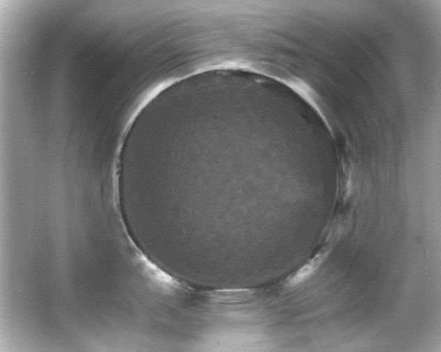 X0000066541151200603201419