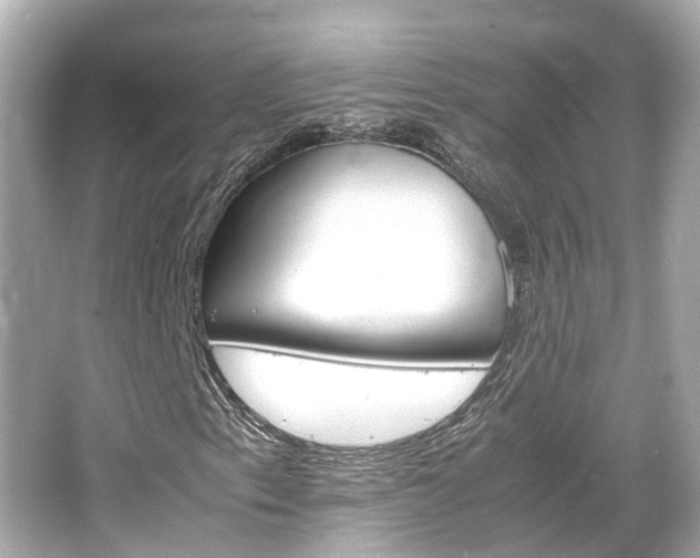 X0000066541153200603201418