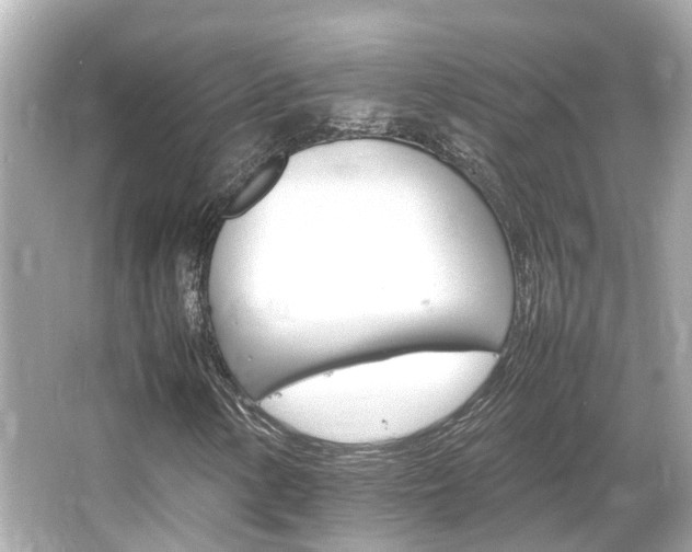 X0000066541154200603201418