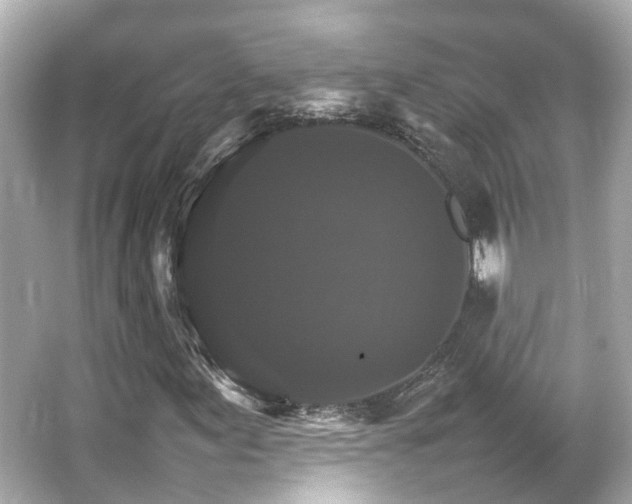 X0000066541155200603201418