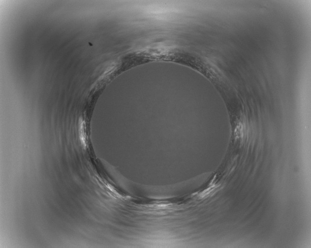 X0000066541156200603201418