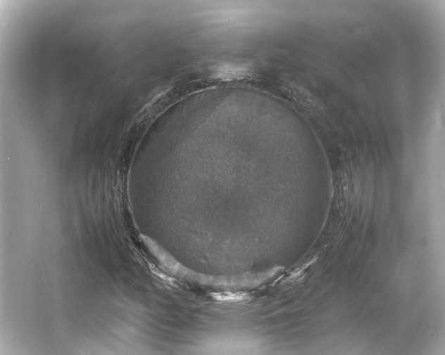 X0000066541158200603201418