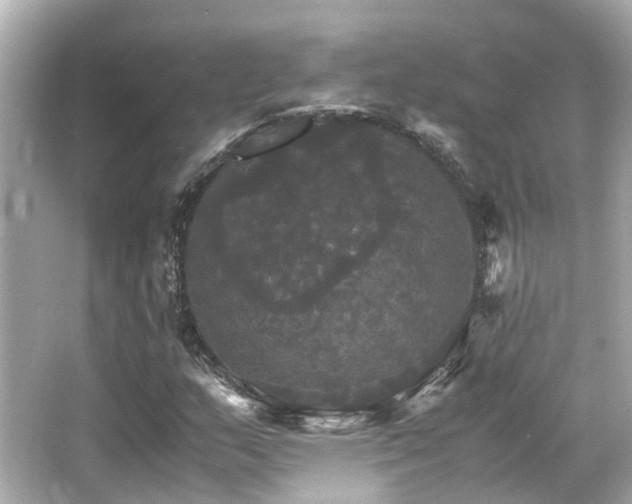 X0000066541159200603201418