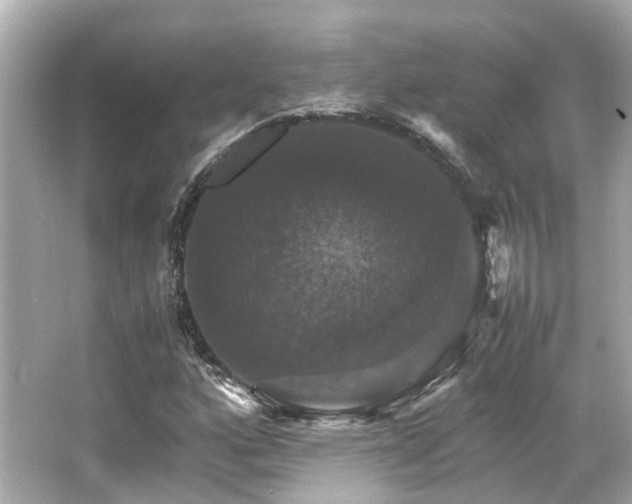 X0000066541160200603201418