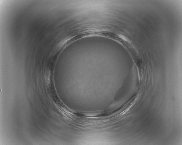 X0000066541161200603201418