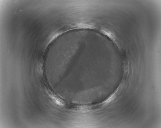 X0000066541163200603201418