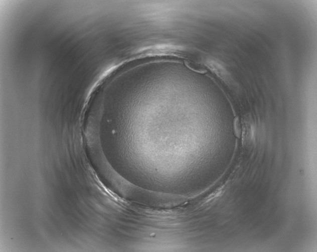 X0000066541164200603201418