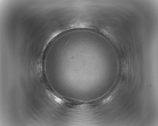 X0000066541166200603201418