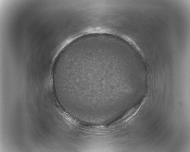 X0000066541167200603201418