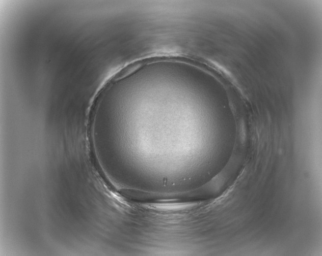 X0000066541168200603201418