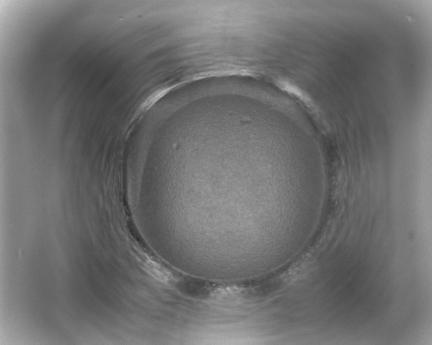 X0000066541169200603201418