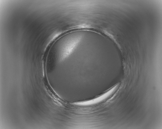 X0000066541171200603201418