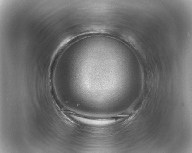 X0000066541172200603201418