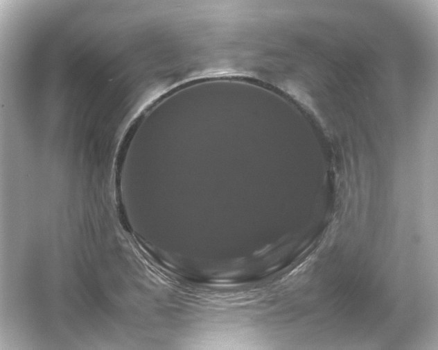 X0000066541173200603201418