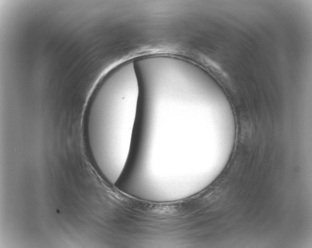 X0000066541174200603201418