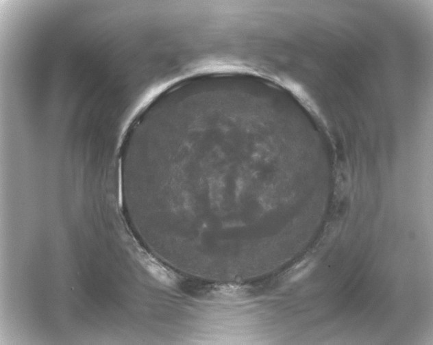 X0000066541175200603201418