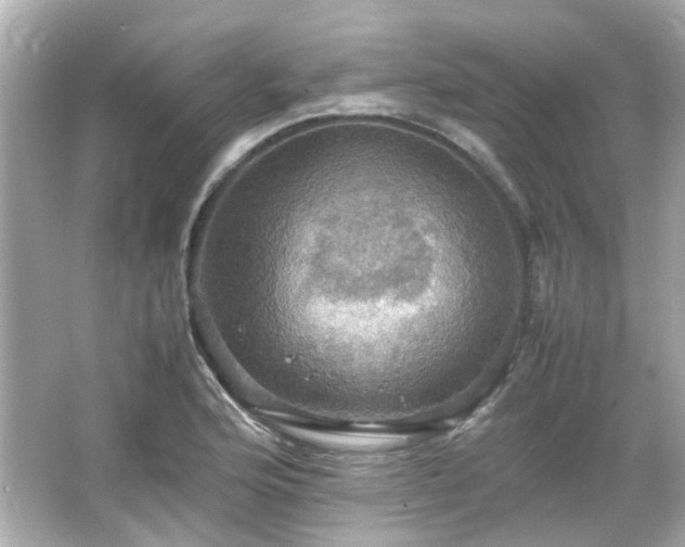 X0000066541176200603201418