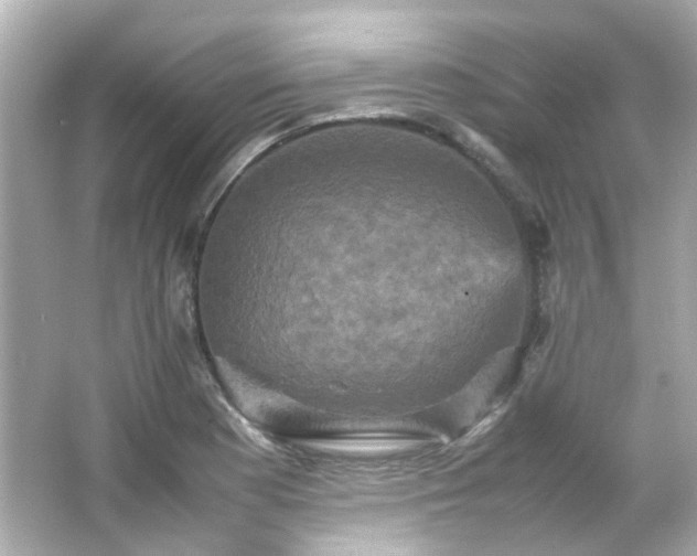 X0000066541177200603201418