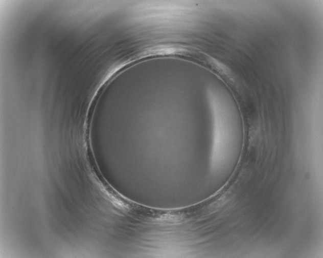 X0000066541178200603201418