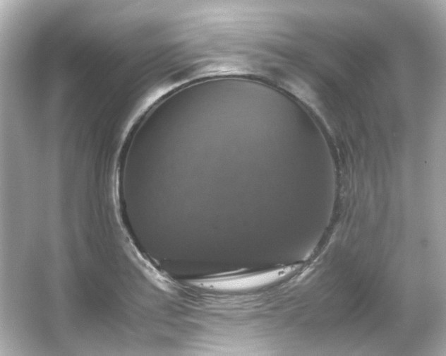 X0000066541179200603201418