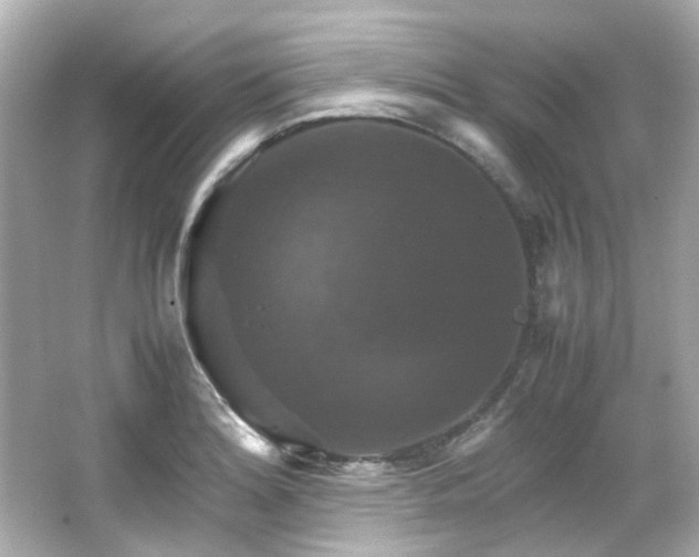 X0000066541180200603201418