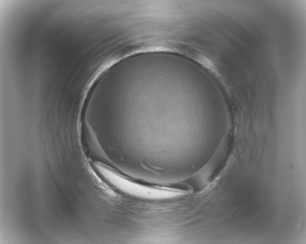 X0000066541181200603201418