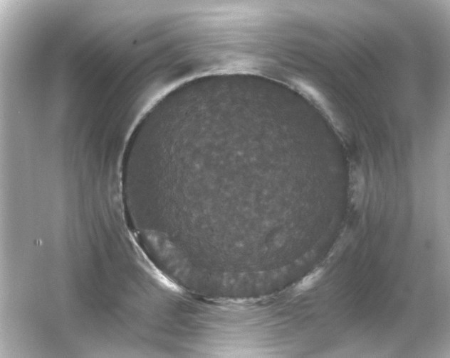 X0000066541184200603201418