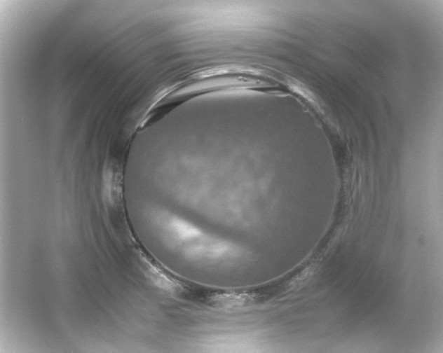 X0000066541185200603201418