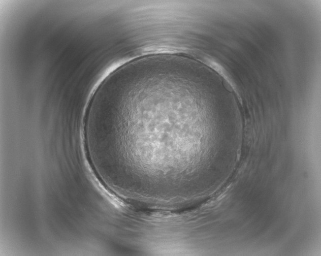 X0000066541187200603201418