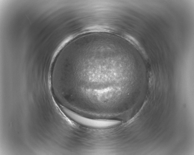 X0000066541188200603201418