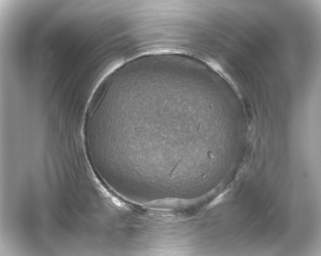 X0000066541189200603201418