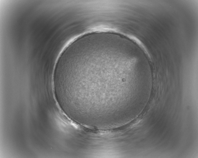 X0000066541191200603201418