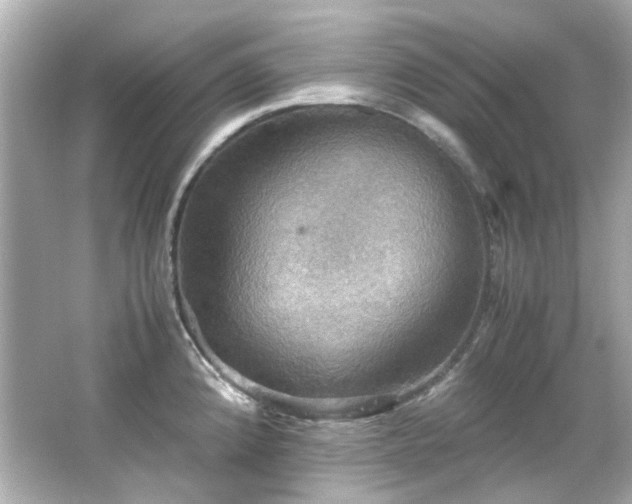 X0000066541192200603201418