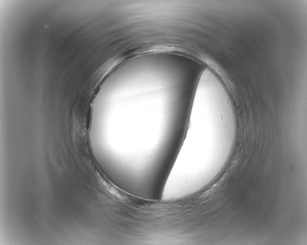 X0000066541193200603201418